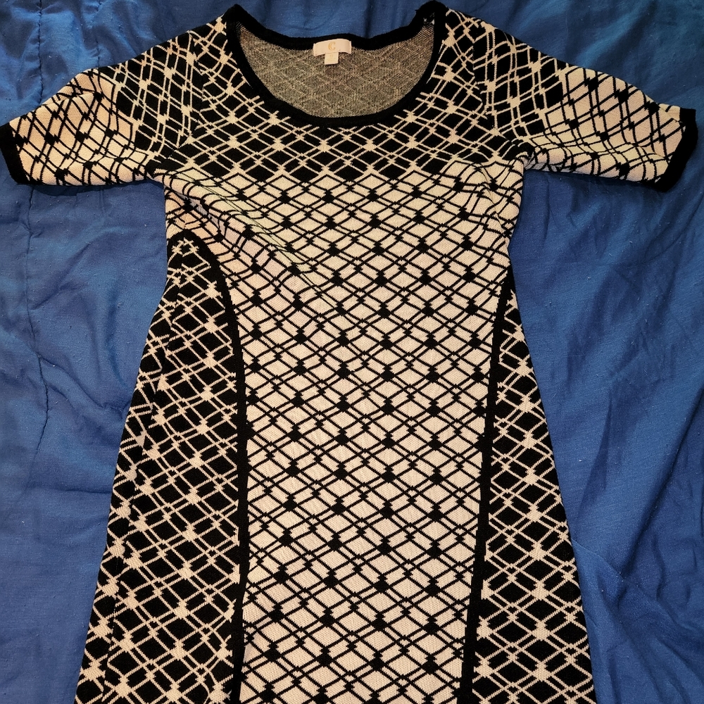 Small Charming Charlie dress